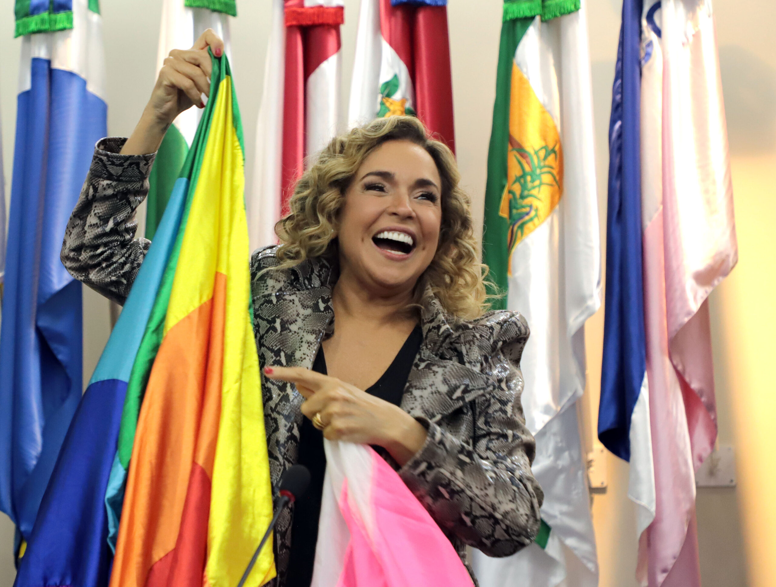 <img src="dia-internacional-e-nacional-de-enfrentamento-a-violncia-contra-pessoas-lgbtqia_52905275031_o" alt="Cantora e ativista Daniela Mercury em evento no MDHC">