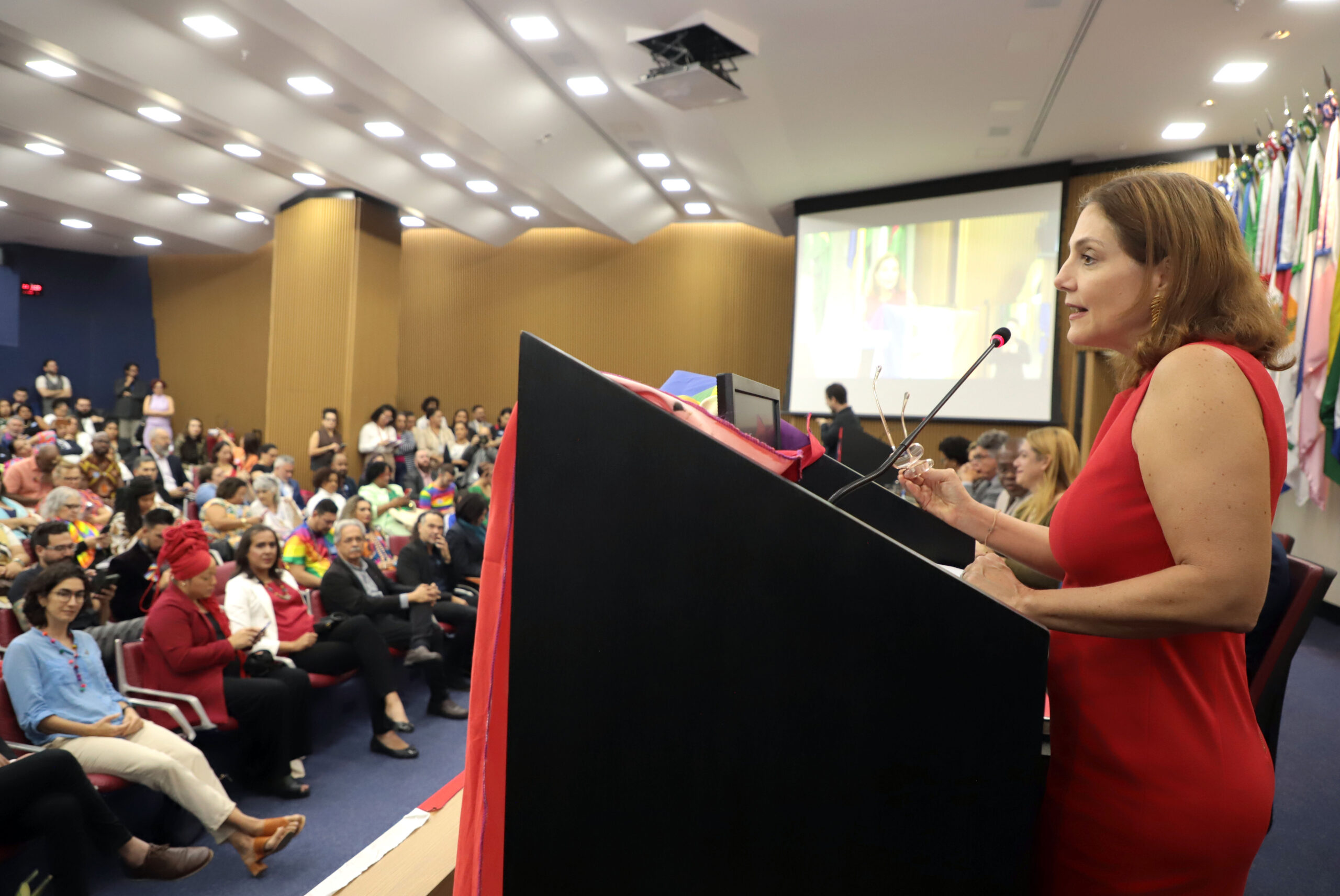dia-internacional-e-nacional-de-enfrentamento-a-violncia-contra-pessoas-lgbtqia_52905659315_o