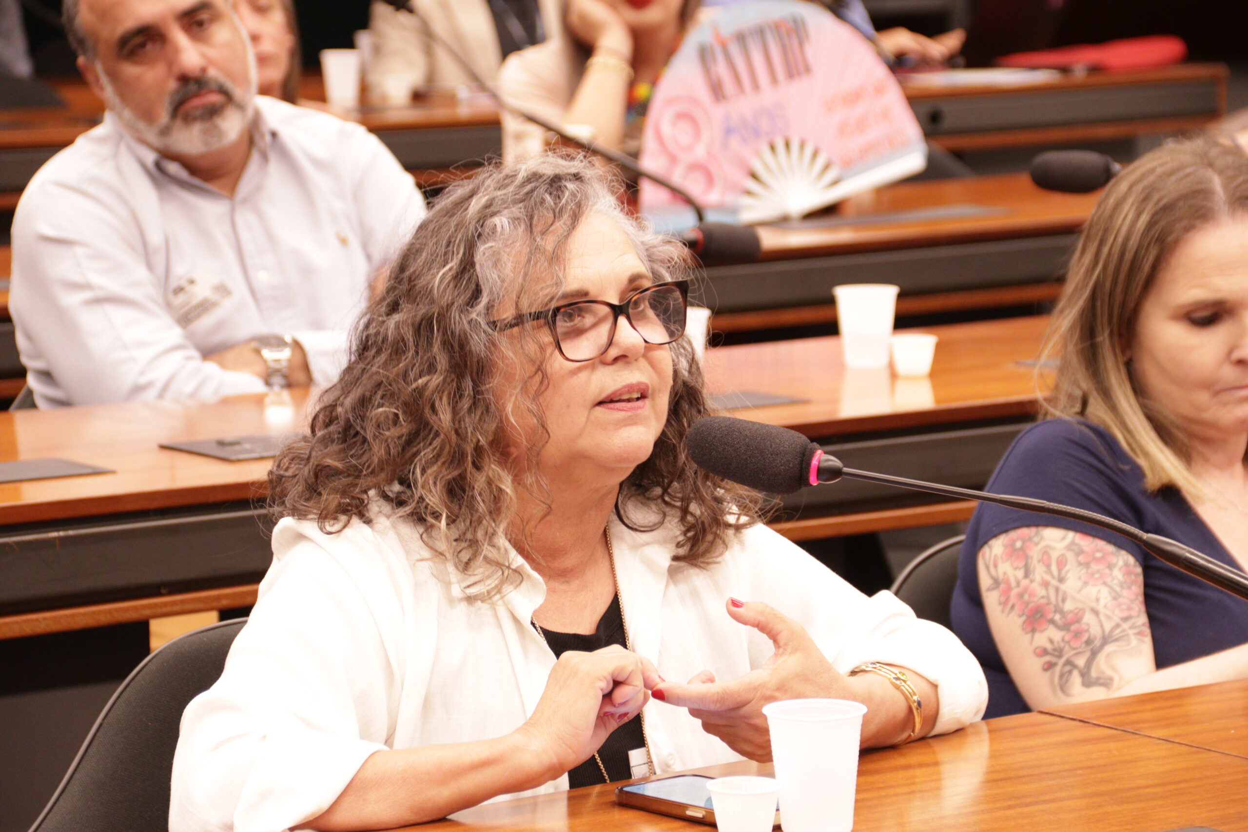 Participação da sociedade civil na Comissão de Direitos Humanos, Minorias e Igualdade Racial.